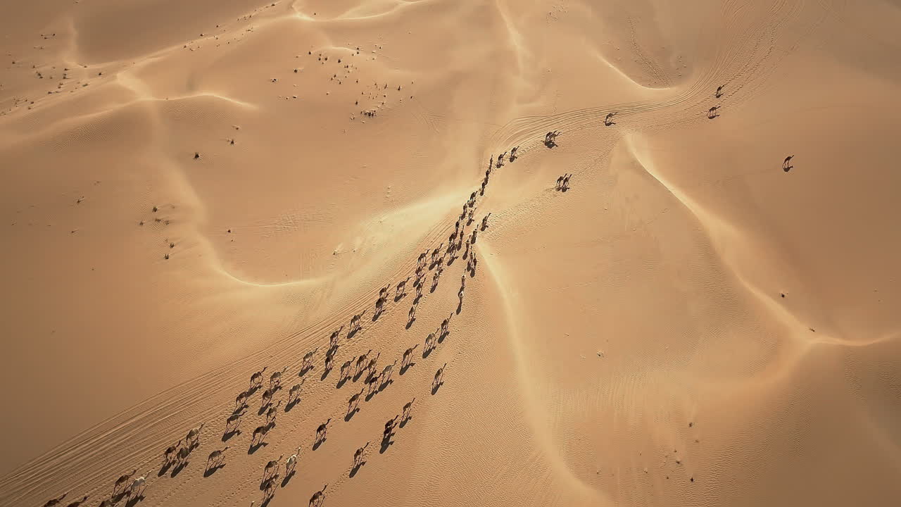 una vista aérea de una caravana cruzando un desierto
