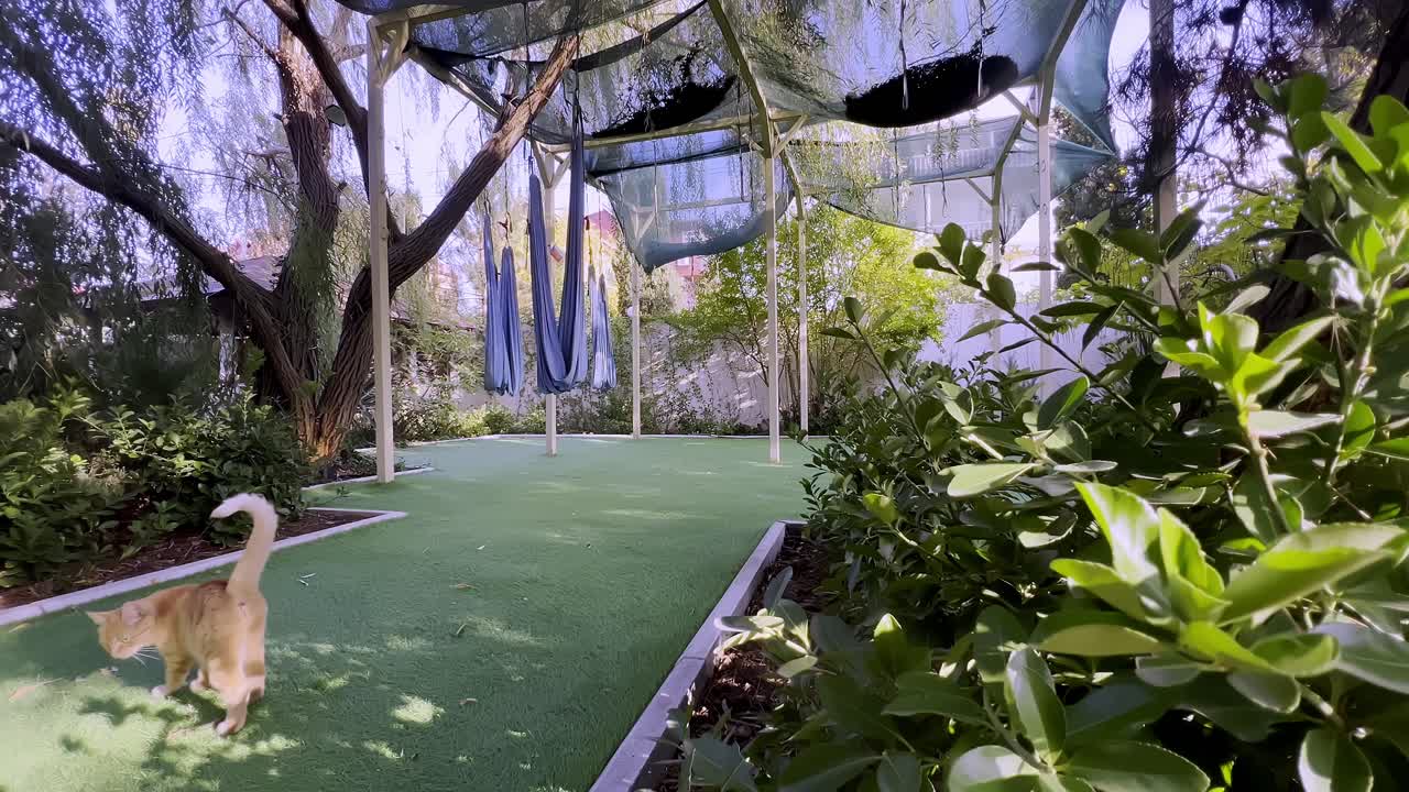 호기심 많은 고양이가 활기찬 식물과 높은 나무로 둘러싸인 평화로운 정원을 돌아다니고 있습니다. 공간은 잘 관리되어 있으며, 평온을 향상시키는 그늘진 영역을 갖추고 있습니다.