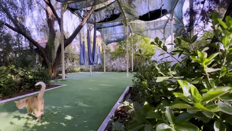 un gato curioso vaga por un jardín tranquilo, rodeado de plantas vibrantes y árboles altos. el espacio está bien cuidado, con un área sombreada que mejora la tranquilidad.