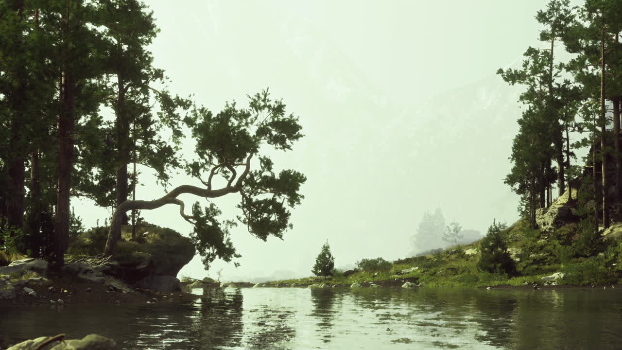 Nature landscape featuring a serene river and lush greenery under fog