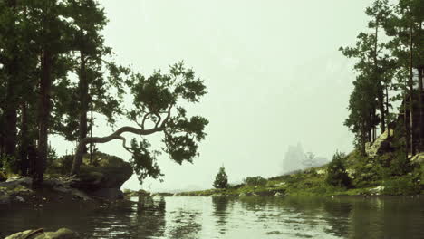 nature landscape featuring a serene river and lush greenery under fog