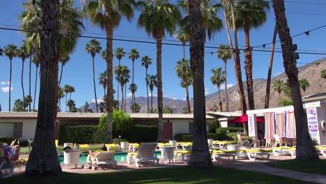 establishing shot of a classic retro motel in palm springs or los angeles california will swimming pool and deck chairs