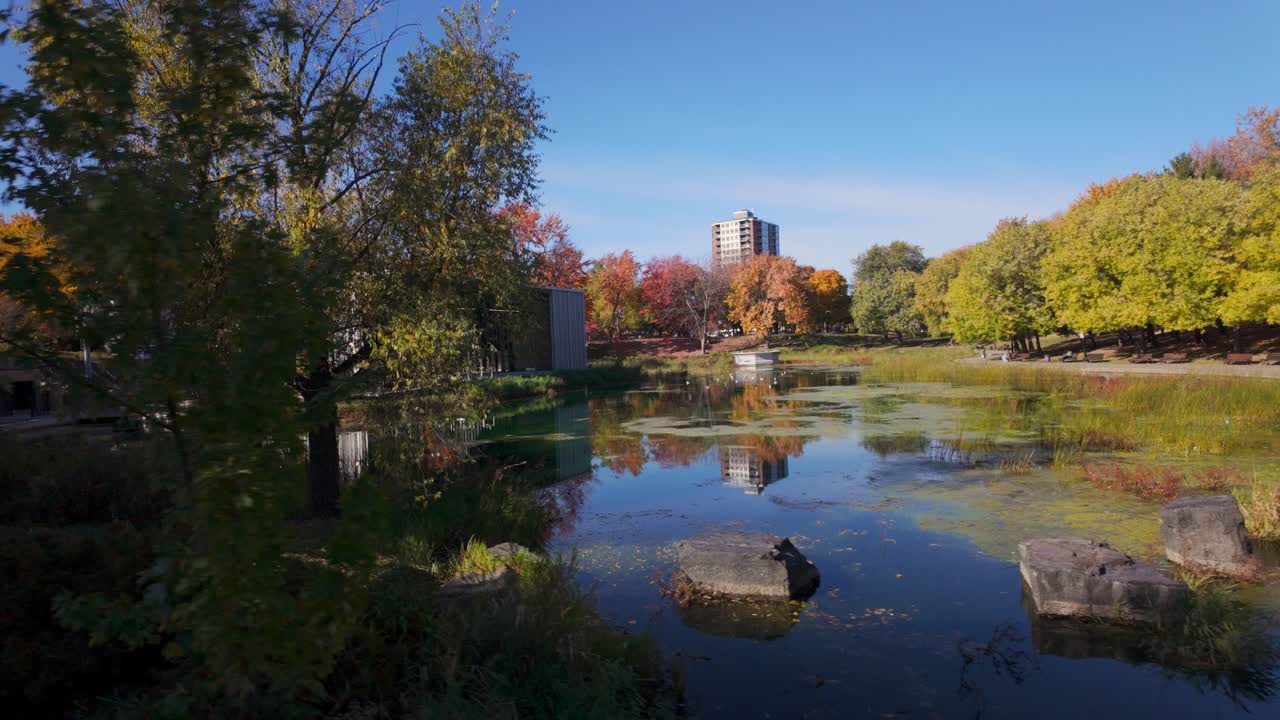 People Near Pond Of Parc La Fontaine During Autumn In Montreal, Canada. POV Shot