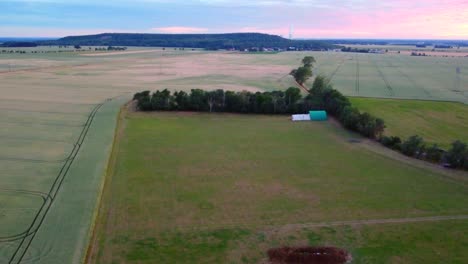 Montón-De-Estiércol-En-El-Campo-De-Maíz-Del-Prado