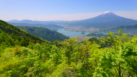 mt. fuji and lake kawaguchi seen from the fresh green shindo pass