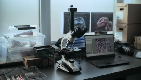 research laboratory with microscope and fossil samples