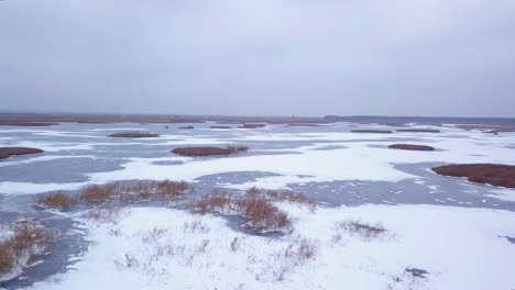 Aerial-view-of-frozen-lake-Liepaja-during-the-winter,-blue-ice-with-cracks,-dry-yellowed-reed-islands,-overcast-winter-day,-wide-drone-shot-moving-forward