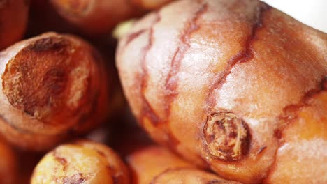 close-up of fresh turmeric roots