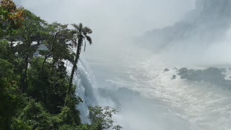 Erstaunliche-Malerische-Dschungellandschaft-Und-Wunderschöne-Wasserfälle-In-Der-Naturlandschaft-Des-Regenwaldes,-Wunderschöne-Bäume-Und-Grüne-Landschaft-Mit-Einer-Großen-Gruppe-Riesiger-Wasserfälle-In-Iguazu,-Brasilien