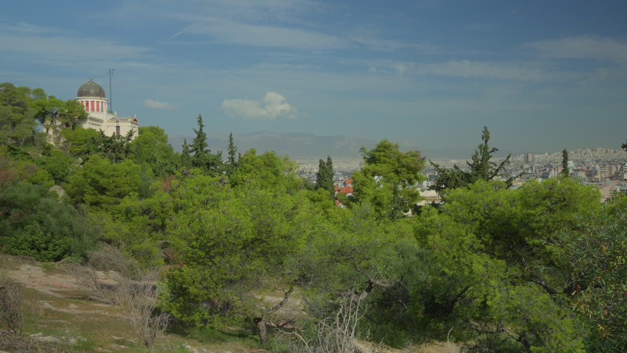 зеленый городской пейзаж с историческим зданием под голубым небом