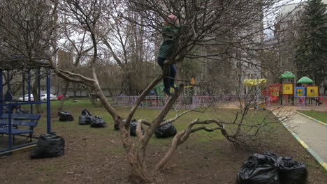 Junge-Klettert-Auf-Baum-Im-Haushof,-Luftaufnahme