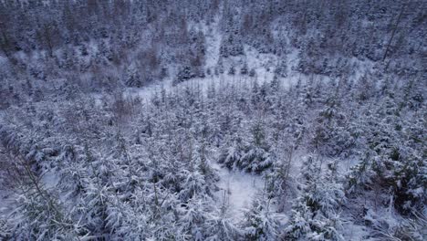 Temprano-En-La-Mañana-En-El-Paisaje-Rural-Nevado