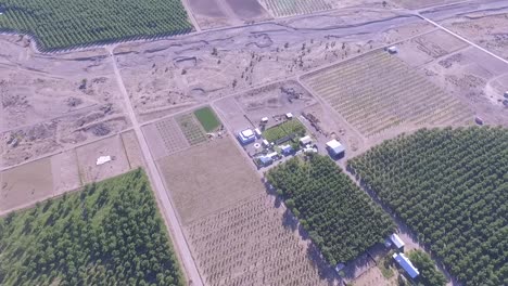 Lebaron-Territory,-Chuhuahua-Mexico-Lebaron-Family-walnut-trees