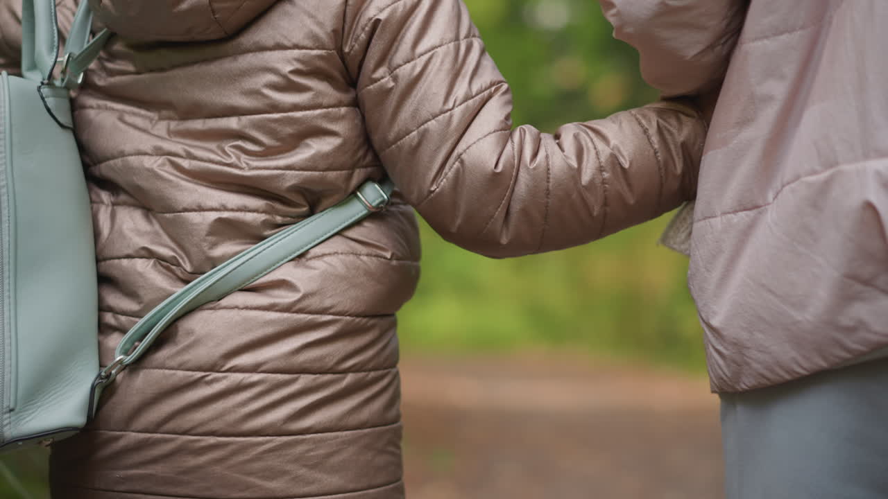 back view of child in padded jacket and mint backpack walking beside guardian on peaceful forest trail during autumn, holding hands while moving forward between thick green foliage
