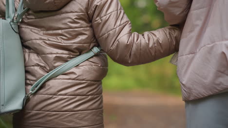 back view of child in padded jacket and mint backpack walking beside guardian on peaceful forest trail during autumn, holding hands while moving forward between thick green foliage