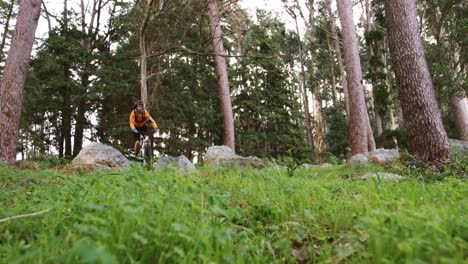 Ciclista-De-Montaña-Masculino-Montando-En-El-Bosque