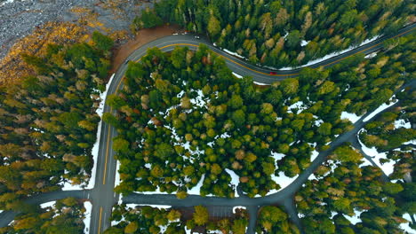 asphalt two-lane roads in the pine tree forest. top view on the woods crossed by highways with red car going by.
