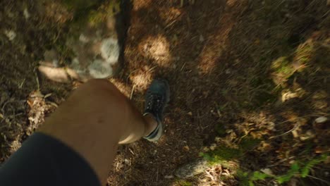 pov shot of a man walking uphill through rough, rocky terrain in a forest