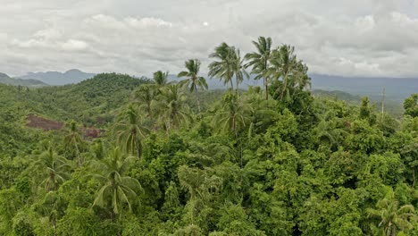 high angle shot over rainforest canopy along hilly terrain in bonifaciao, surigao del norte, philippines on a cloudy day