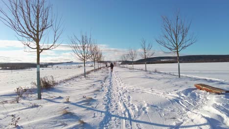 POV-Aufnahme-Beim-Gehen-Durch-Die-Straßen,-Die-An-Einem-Hellen,-Sonnigen-Tag-Mit-Dicken-Schneeschichten-Und-Bäumen-Auf-Beiden-Seiten-Bedeckt-Sind