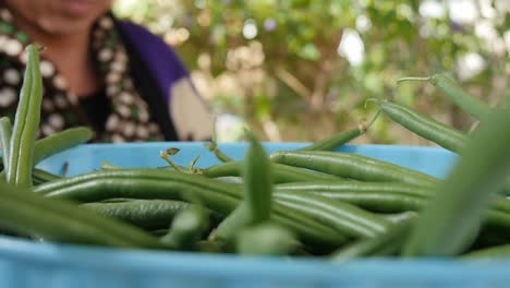 close up gimbal shot of vegetables in bowl in slow motion daytime