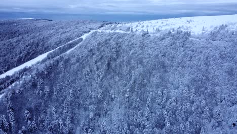 aerial slow fly view of chitelet mountain road among snow-capped forests during winter in hautes-vosges, france