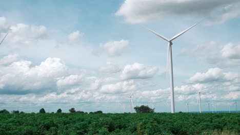 idea progresiva de utilizar el viento para la energía eléctrica por un parque de turbinas eólicas.