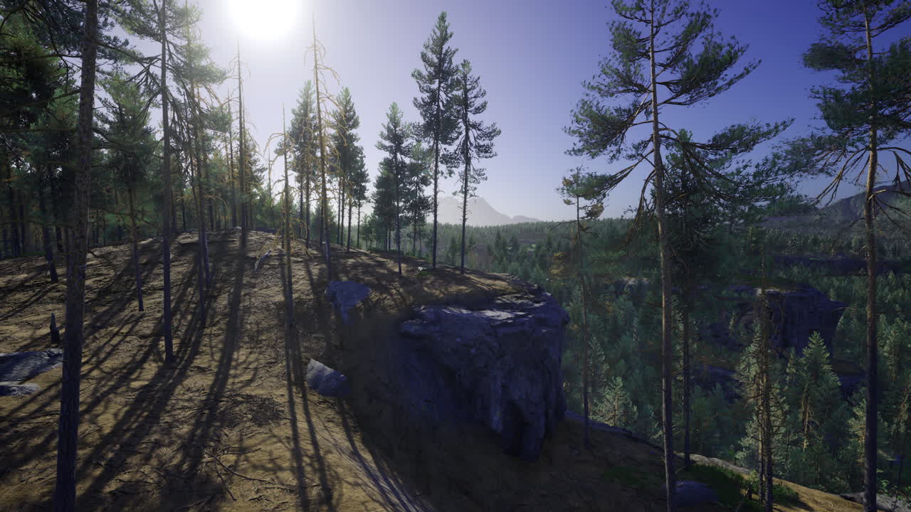 Sunlight filters through trees in a serene forest landscape at sunset