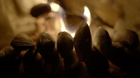 wild foraged mussels slowly cook in front of an open log fire in an old fireplace