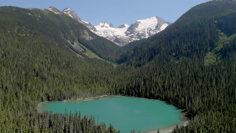 agua turquesa del parque provincial lower joffre lakes rodeada de densos árboles en el bosque