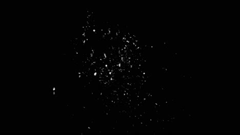 Abstract black and white particles animated overlay, transparent 4K video, alpha channel, ProRes