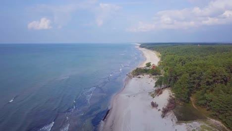 Vogelperspektive-Der-Ostseeküste-An-Einem-Sonnigen-Tag,-Weiße-Sanddünen,-Die-Durch-Wellen-Beschädigt-Wurden,-Kiefernwald,-Küstenerosion,-Klimawandel,-Weitwinkeldrohnenaufnahme,-Die-Sich-Vorwärts-Bewegt