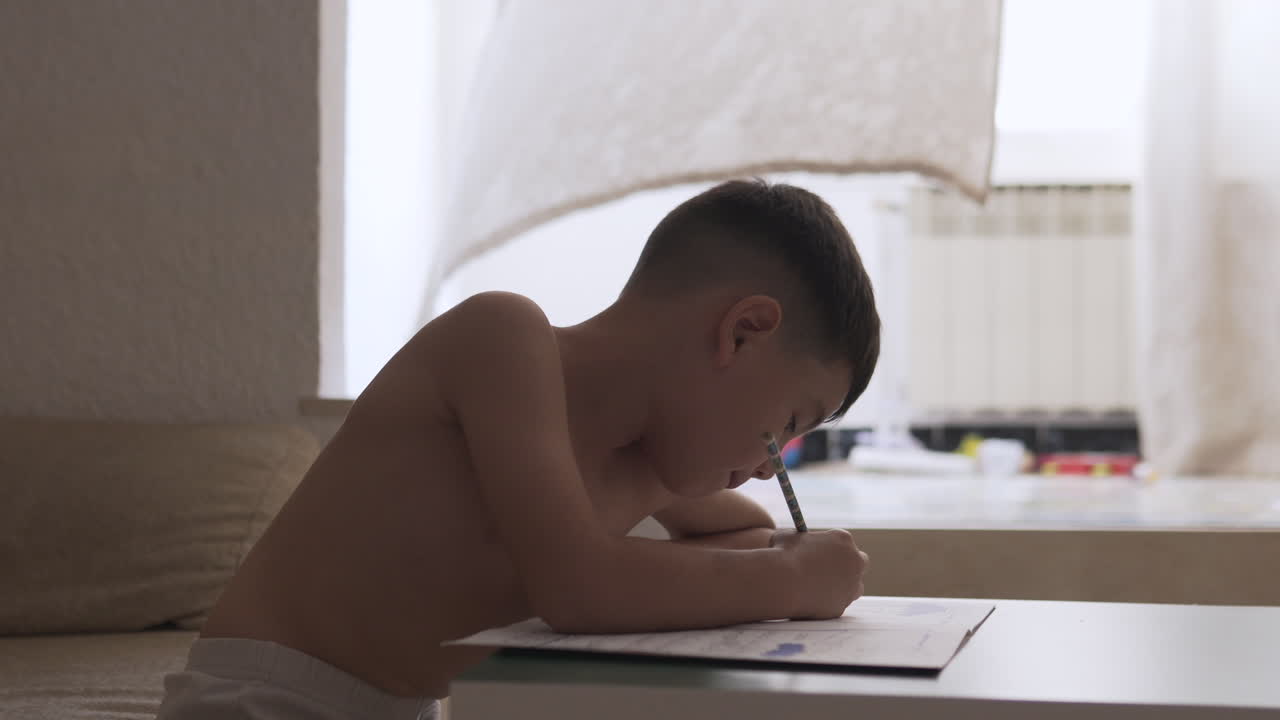 집에서 공부하는 아이가 학교에서 여름 숙제를 하고 있습니다.