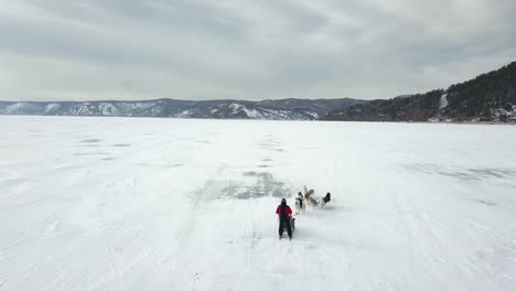 dog sledding on a frozen lake