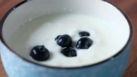 yogurt with blueberries