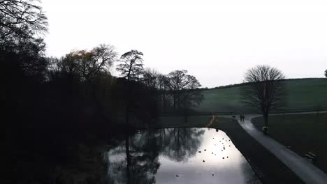 cinematic drone flyes over lake and birds on sunset 4k