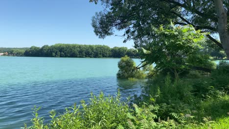 Calm-lake-in-nature-during-sunny-day-and-beautiful-forest-landscape-in-background,static