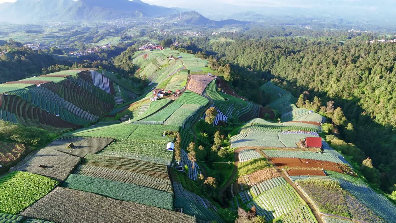 Scenic aerial landscape of mountain vegetable farms with terraced fields. The peaceful highland scenery represents sustainable farming and rural life