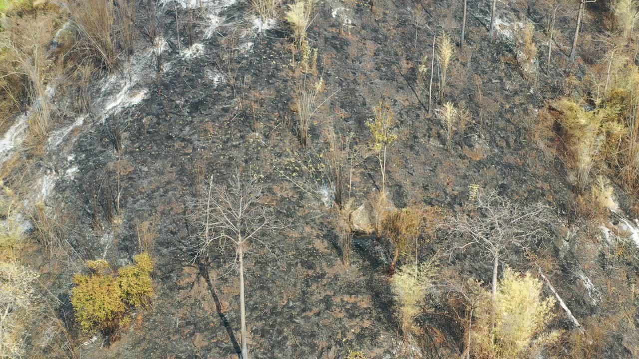 기후변화는 인간과 지구상의 생명과 가에 많은 위험을 초래합니다.