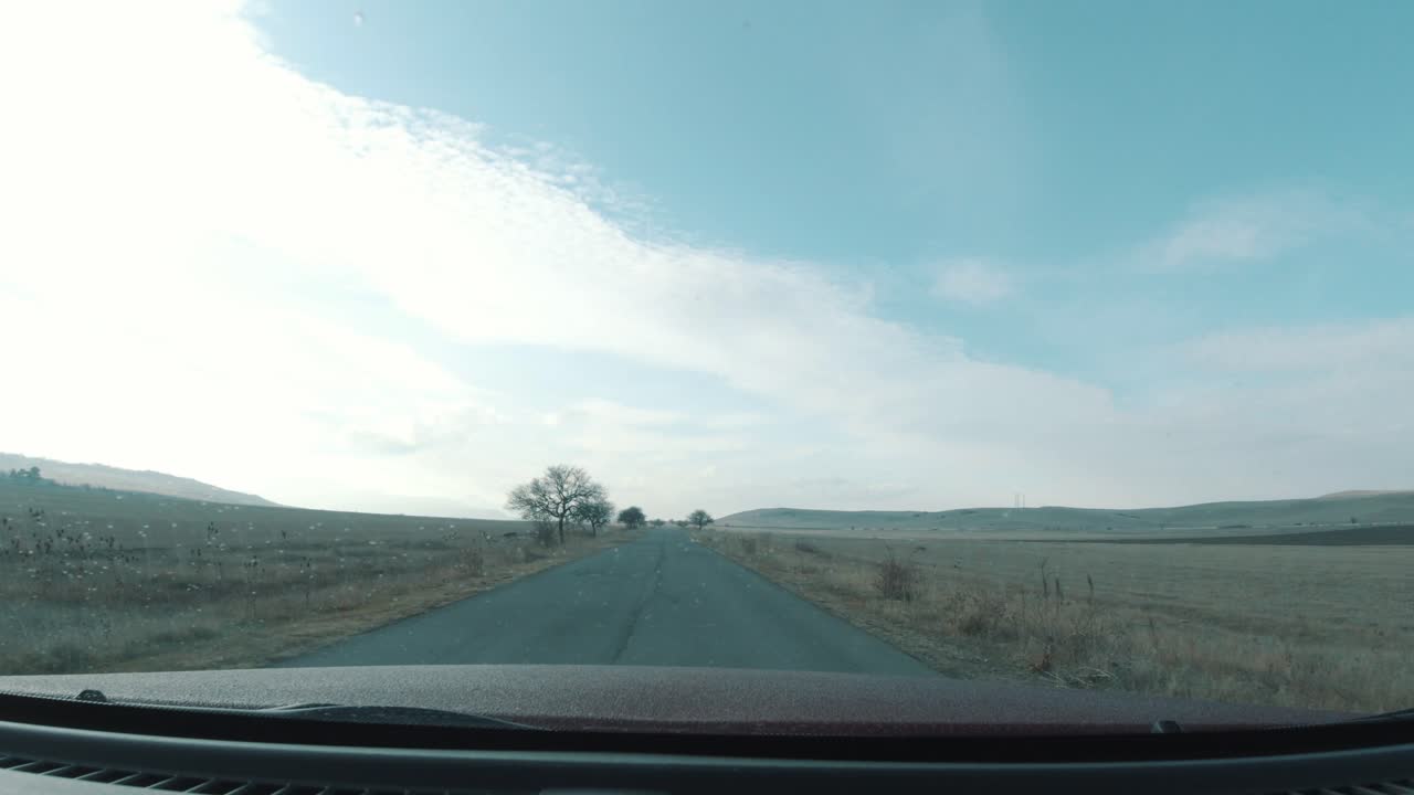 길가에 잎이 없는 나무가 여행자를 반긴다