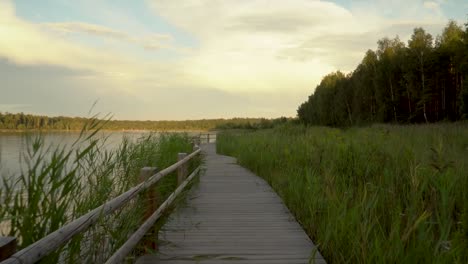 beautiful, grassy coast of the water reservoir landscape in summer