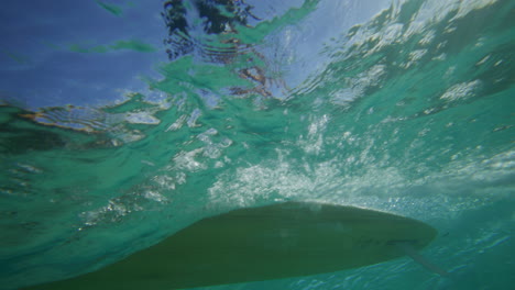 Surfer-riding-on-a-wave-in-crystal-clear-water-in-Byron-Bay-Australia-shot-from-underwater-in-slow-motion