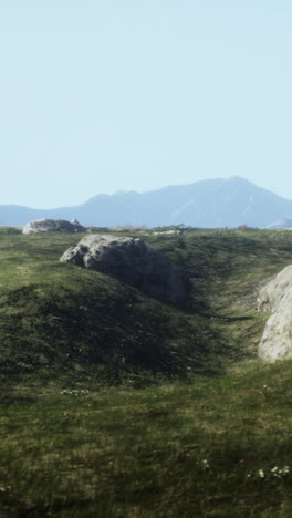 a beautiful grassy meadow with mountains in the background