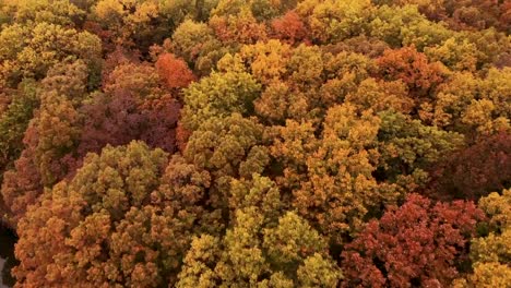 autumn season lush forest salem illinois usa aerial