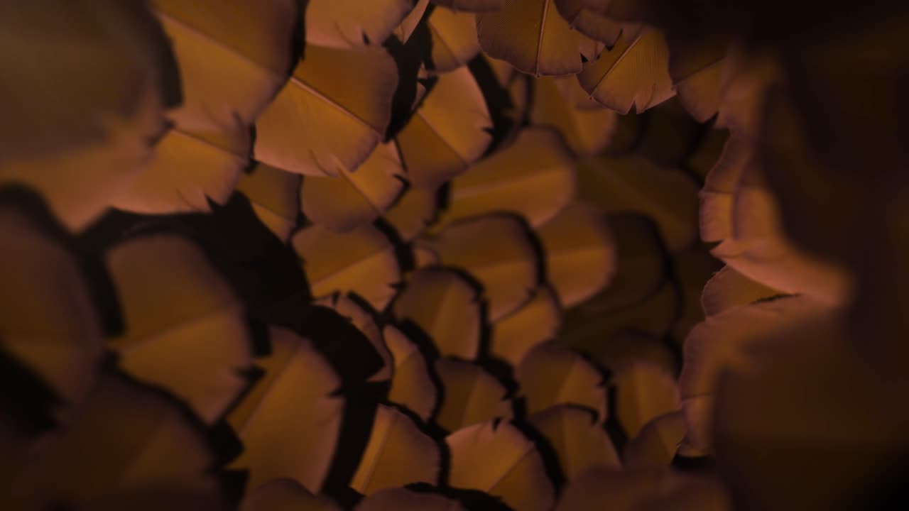 Tropical Feather Tunnel Seamless Loop