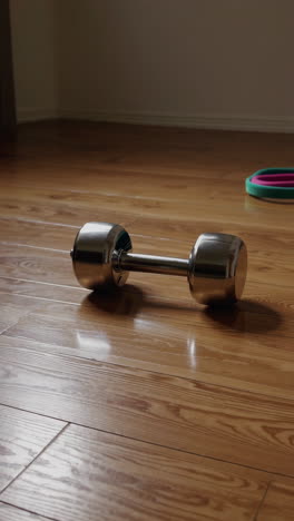 dumbbell on wooden floor