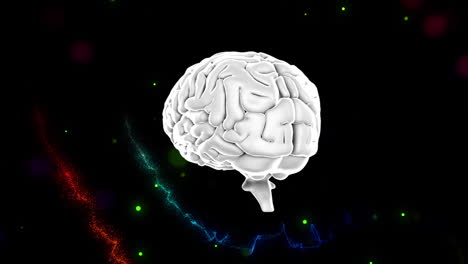 icono del cerebro humano girando contra manchas coloridas de luz y ondas digitales en fondo negro