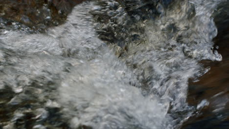 corriente de agua dulce burbujeante en primer plano