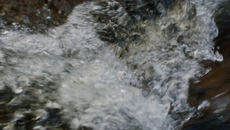 bubbling freshwater stream in close up