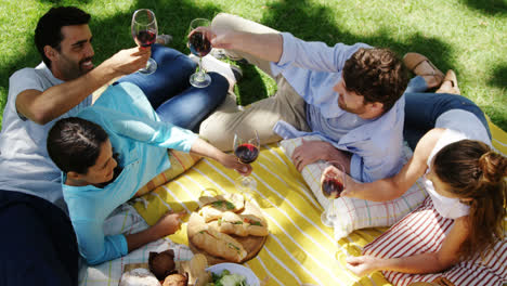 couples interacting with each other while having red wine in the park